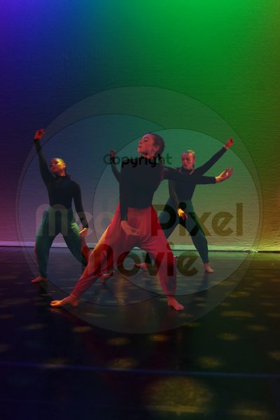 Dorothy Stringer Show - Image 1083