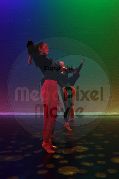 Dorothy Stringer Show - Image 1090