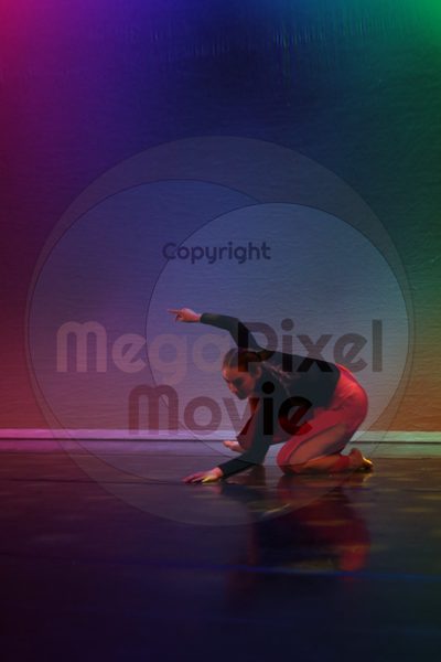Dorothy Stringer Show - Image 1147