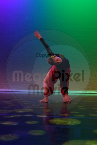 Dorothy Stringer Show - Image 1176