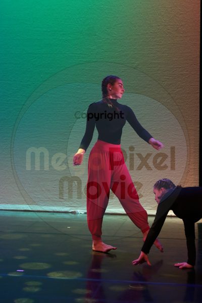 Dorothy Stringer Show - Image 1259