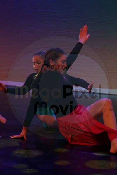 Dorothy Stringer Show - Image 1327