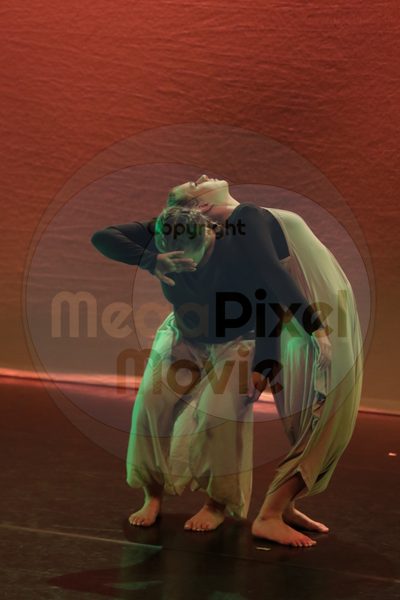 Dorothy Stringer Show - Image 1332