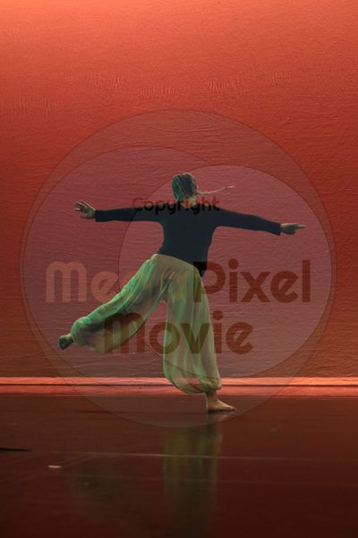 Dorothy Stringer Show - Image 1477