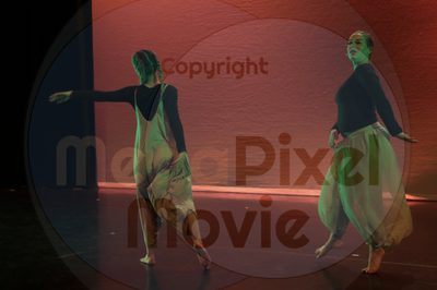 Dorothy Stringer Show - Image 1538