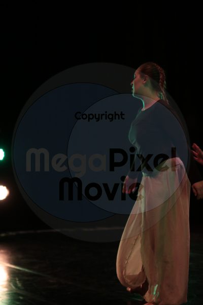Dorothy Stringer Show - Image 1606