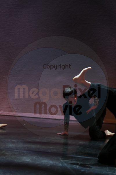 Dorothy Stringer Show - Image 2008