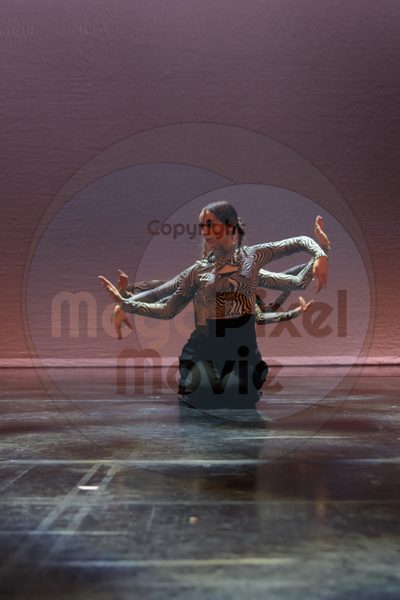 Dorothy Stringer Show - Image 2066