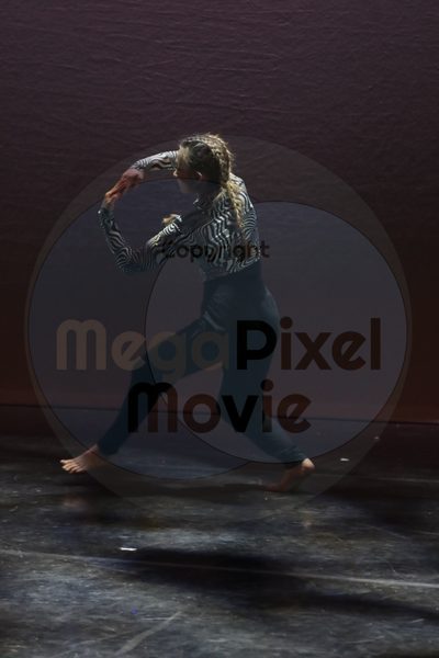 Dorothy Stringer Show - Image 2228