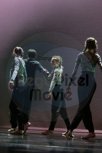 Dorothy Stringer Show - Image 2263