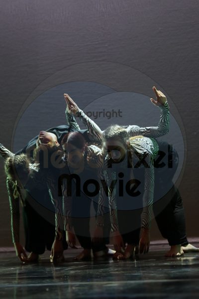 Dorothy Stringer Show - Image 2265