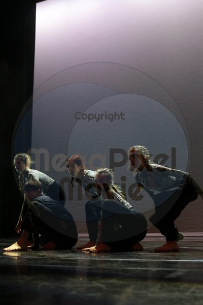 Dorothy Stringer Show - Image 2279