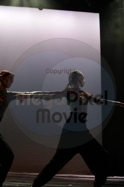 Dorothy Stringer Show - Image 2287