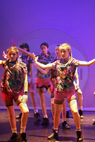 Dorothy Stringer Show - Image 2330