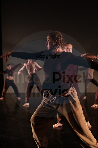 Dorothy Stringer Show - Image 2924