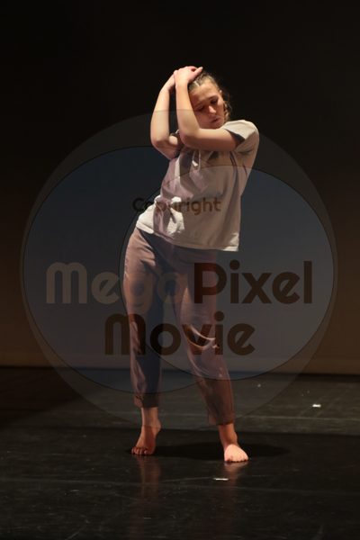 Dorothy Stringer Show - Image 3018