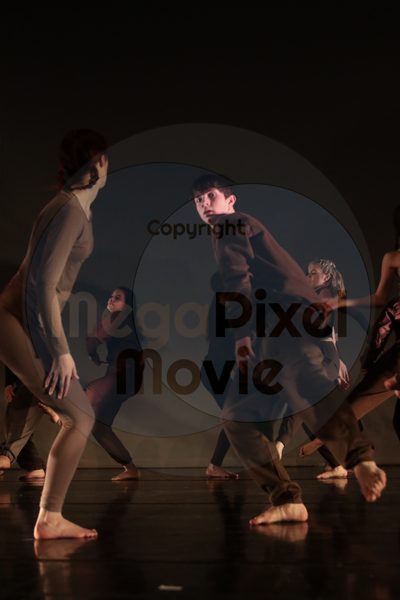 Dorothy Stringer Show - Image 3098