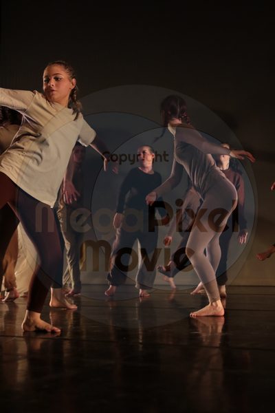 Dorothy Stringer Show - Image 3100