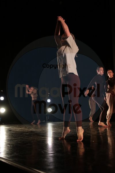 Dorothy Stringer Show - Image 3104