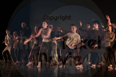 Dorothy Stringer Show - Image 3119
