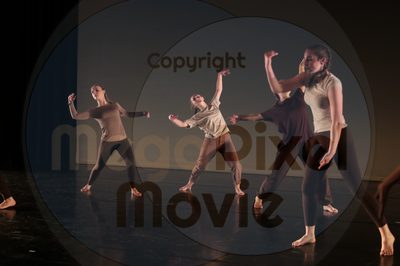 Dorothy Stringer Show - Image 3176