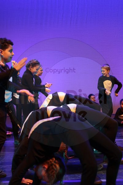 Let's Dance - Image 7284