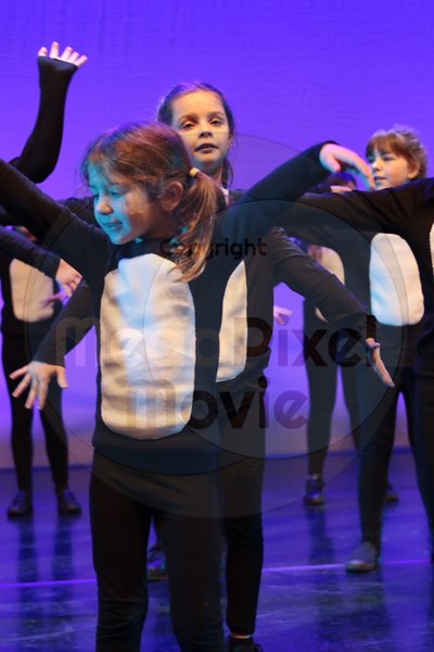 Let's Dance - Image 7417