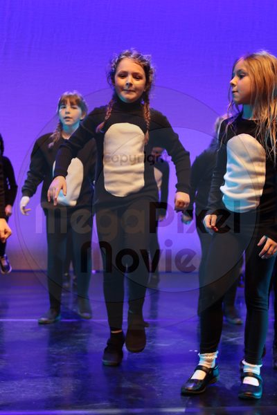 Let's Dance - Image 7429