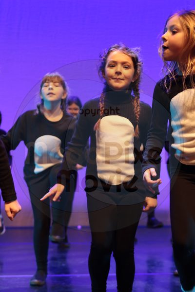 Let's Dance - Image 7433