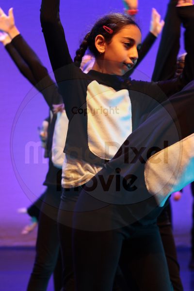 Let's Dance - Image 7604