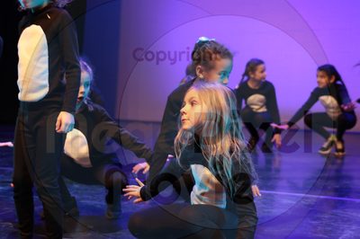 Let's Dance - Image 7736