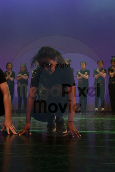 Let's Dance - Image 9027