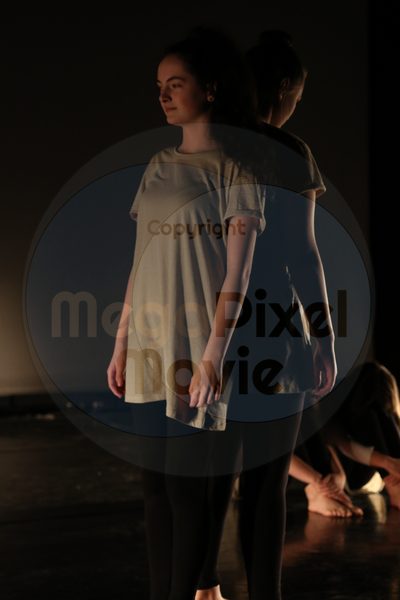 Let's Dance - Image 4818