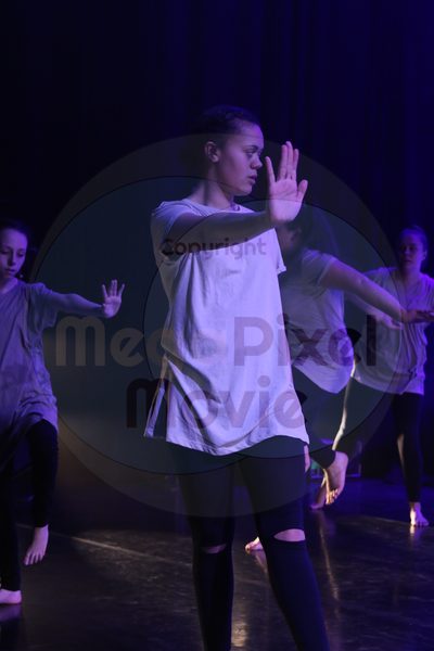 Let's Dance - Image 4933