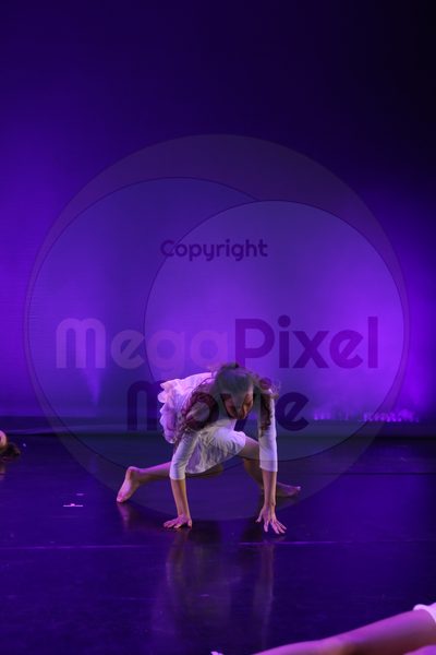 Let's Dance - Image 6509