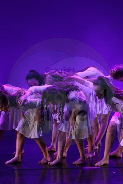 Let's Dance - Image 6553