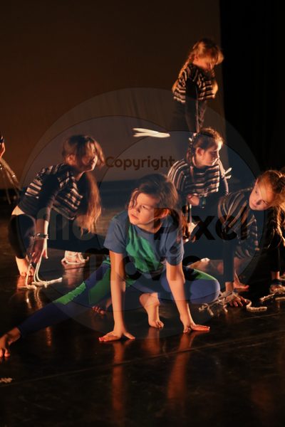 Let's Dance - Image 0055