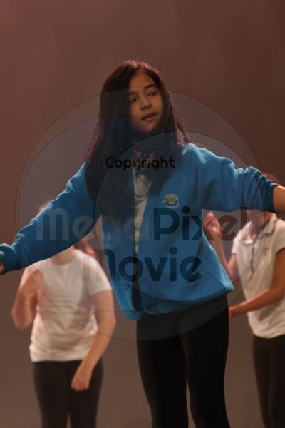 Let's Dance - Image 7048