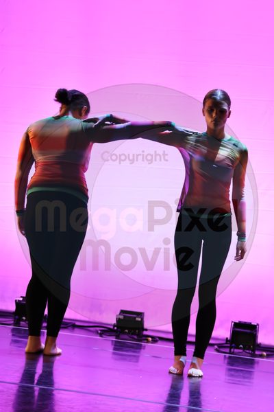 Let's Dance - Image 696A0623