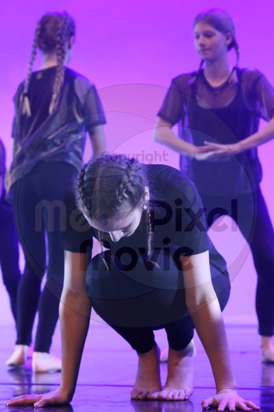 Let's Dance - Image 7537