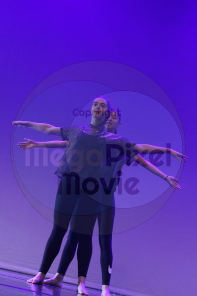 Let's Dance - Image 7643