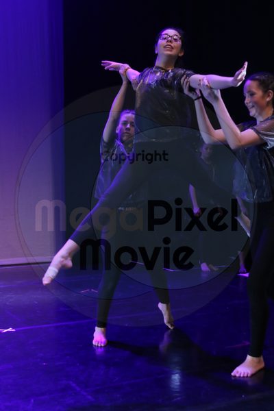 Let's Dance - Image 8020