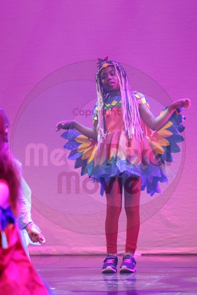 Let's Dance - Image 3593