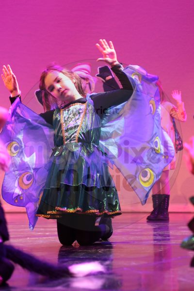 Let's Dance - Image 3607