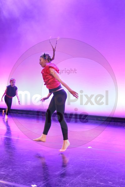Let's Dance - Image 2689
