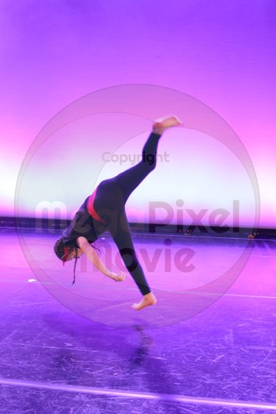 Let's Dance - Image 2692
