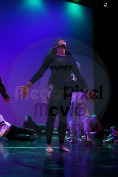 Let's Dance - Image 5361