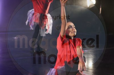 Let's Dance - Image 6483