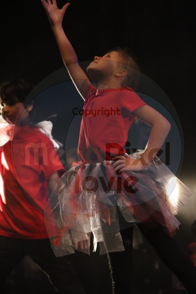 Let's Dance - Image 6502