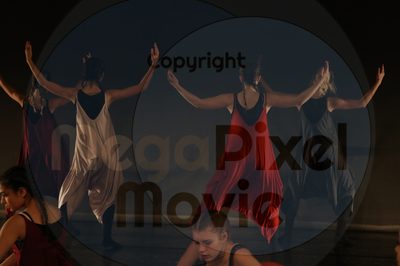 Dorothy Stringer Show - Image 7614